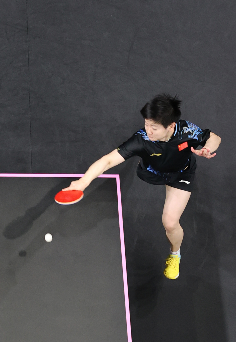 荼地进行 荼地进行