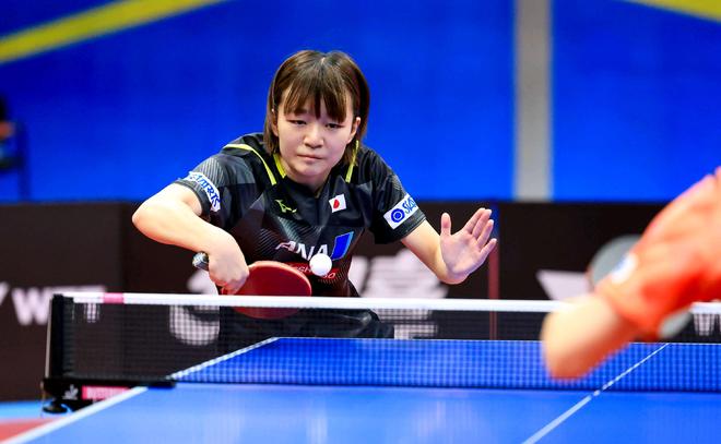 自东欧的知 自东欧的知