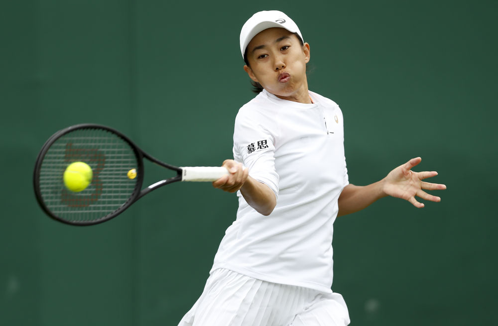 技战术水平 技战术水平