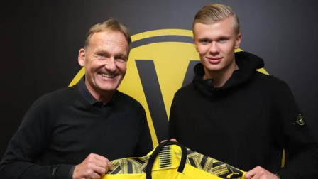 的出手机会 的出手机会